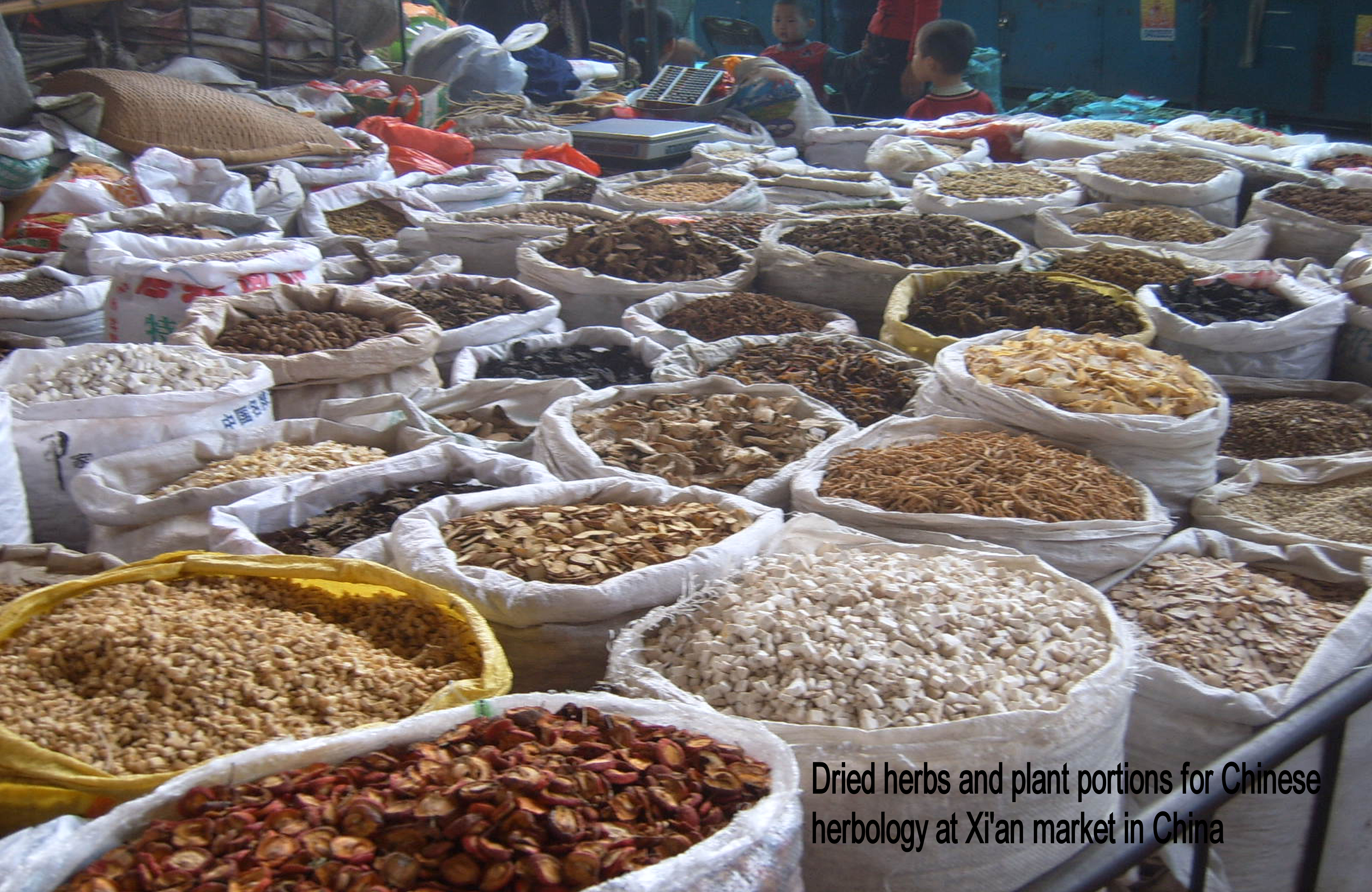 Dried plants for Chinese herbology